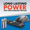 imageACDelco 24Count Triple AAA Batteries Maximum Power Super Alkaline Battery 10Year Shelf LifeAAA20 Count